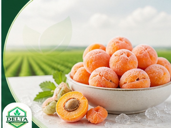 Apricot